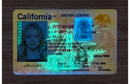 California Fake id front side