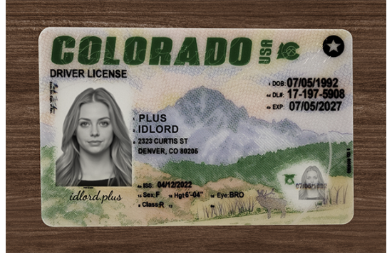 Colorado Fake IDs
