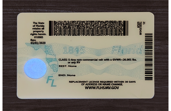 Florida Fake id front side