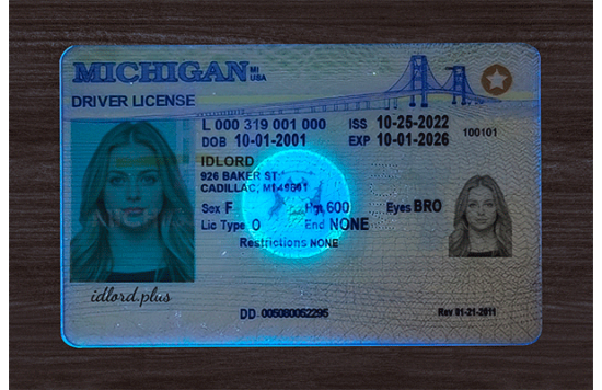 Michigan Fake id front side
