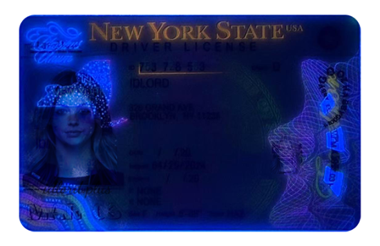 New York Fake Dirvers Licence (2025 Version)