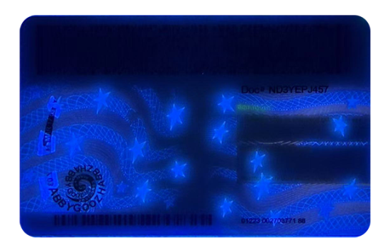 New York Fake Dirvers Licence (2025 Version)
