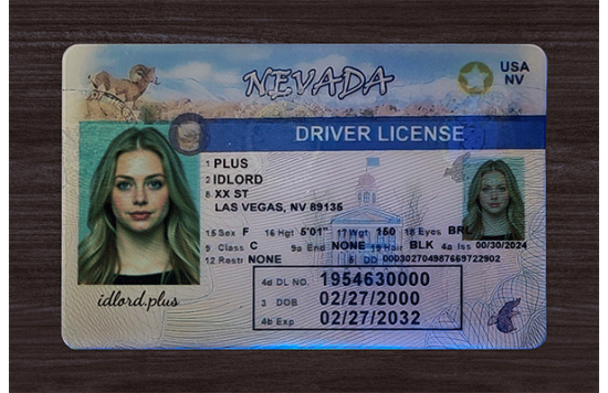 Nevada Fake id front side