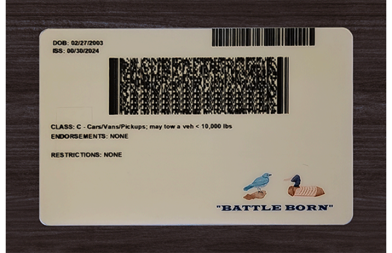 Nevada Fake id front side