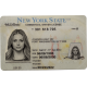 New York CDL
