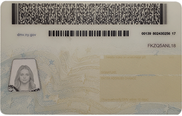 New York CDL