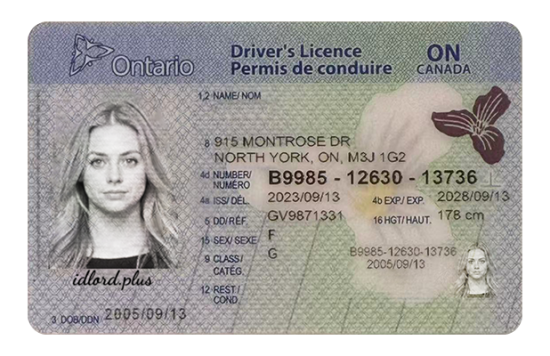 Ontario Fake id front side