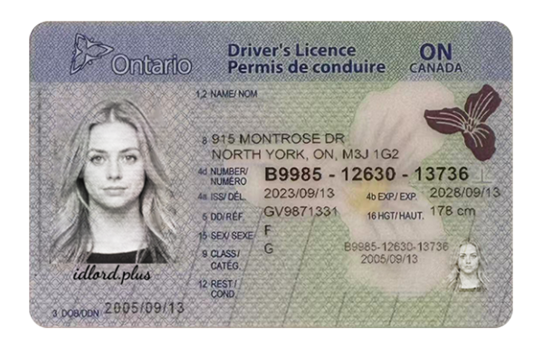 Ontario Fake Dirvers Licence (2025 version)