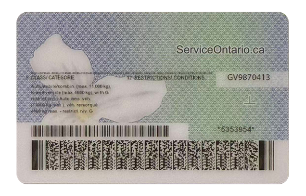 Ontario Fake Dirvers Licence (2025 version)