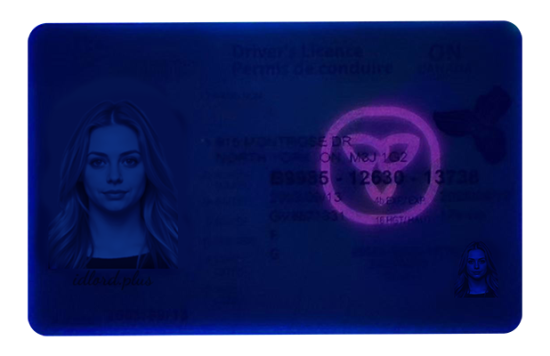 Ontario Fake id front side