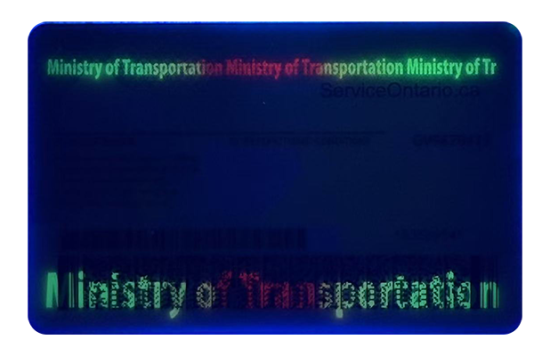 Ontario Fake id front side