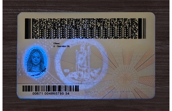 Virginia Fake id front side