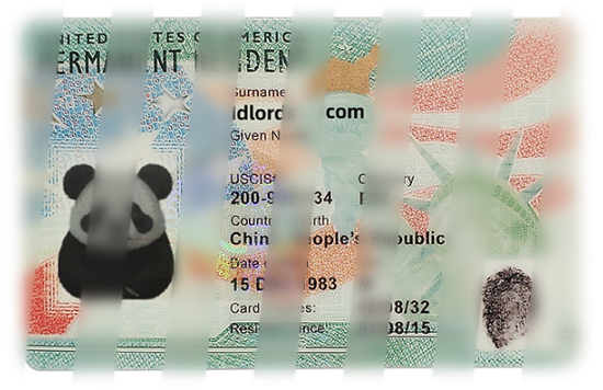 Green Card Fake id front side